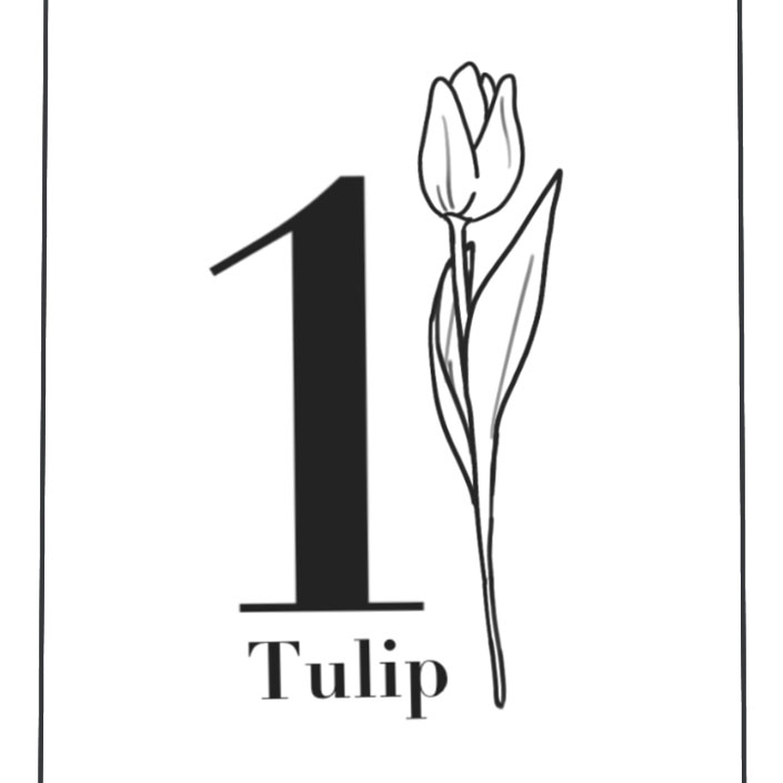 01 Tulip - BeitAzzahra Homestay